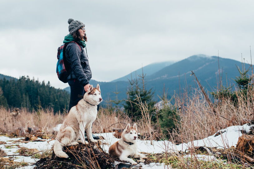 Frau steht mit ihren Hunden in der Natur